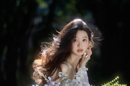 网红书记
